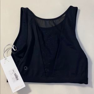 Barley Crop Sports Bra